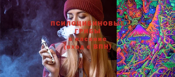 соль ск Арсеньев