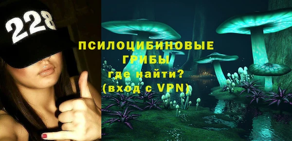 спиды Пестово