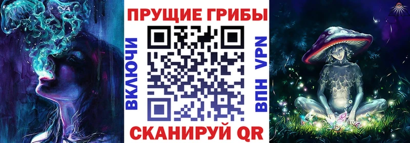 kraken ТОР  Гаджиево  Псилоцибиновые грибы ЛСД  сколько стоит 